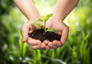 5 Benefits of Organic Farming