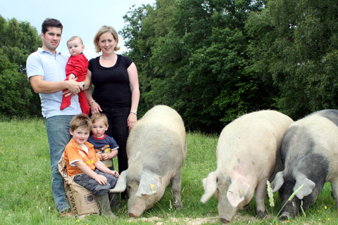 Organic Pork