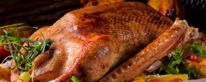 Free Range, Additive Free Goose